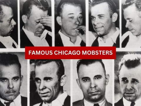 Chicago Crime Tours image