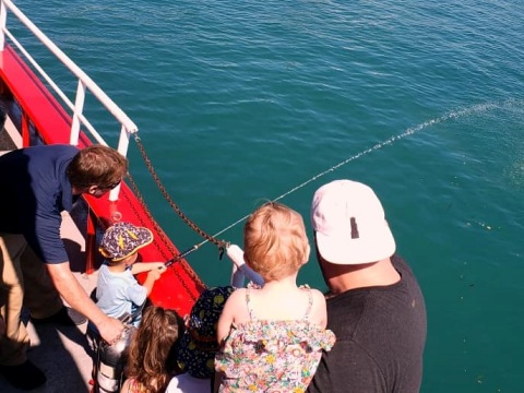 Chicago Fireboat Tours image