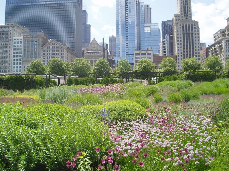 Lurie Garden image