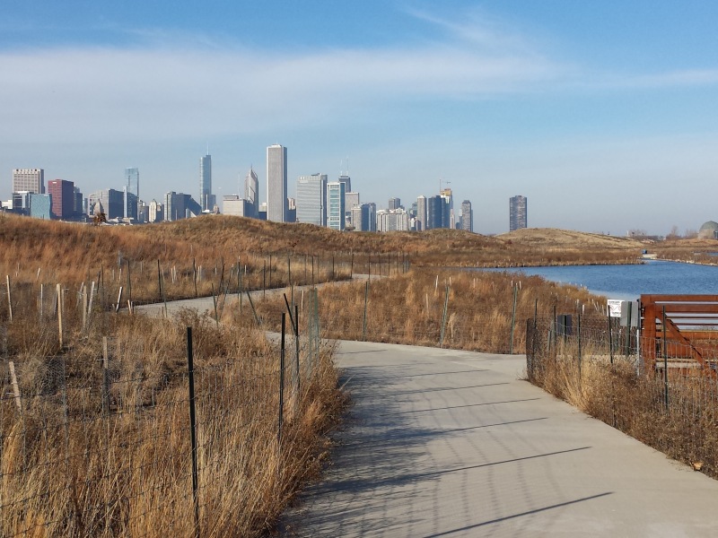 Northerly Island image