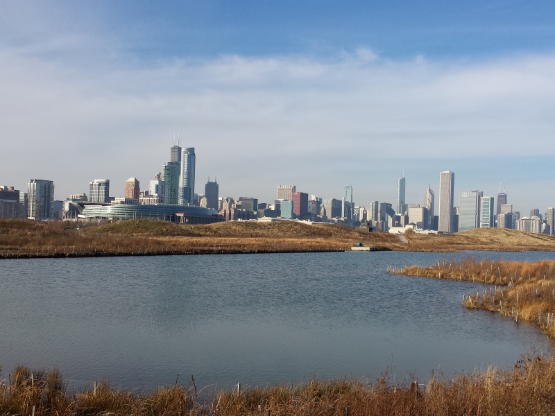 Northerly Island image